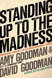 Tapa de Standing up to the madness