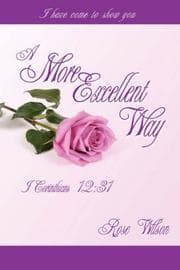 Tapa de A More Excellent Way