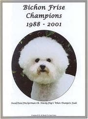 Tapa de Bichon Frise Champions, 1988-2001