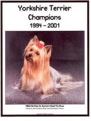 Tapa de Yorkshire Terrier Champions, 1994-2001
