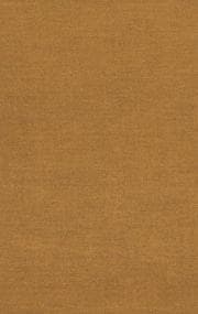 Tapa de Social protest thought in the African Methodist Episcopal Church, 1862-1939