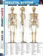 Tapa de Skeletal System