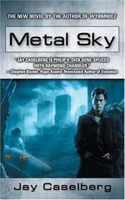 Tapa de Metal sky