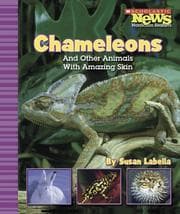 Tapa de Chameleons And Other Animals With Amazing Skin