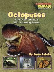 Tapa de Octopuses And Other Animals With Amazing Senses