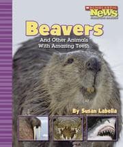 Tapa de Beavers And Other Animals With Amazing Teeth