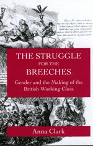 Tapa de The struggle for the breeches