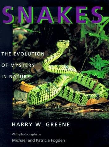 Tapa de Snakes