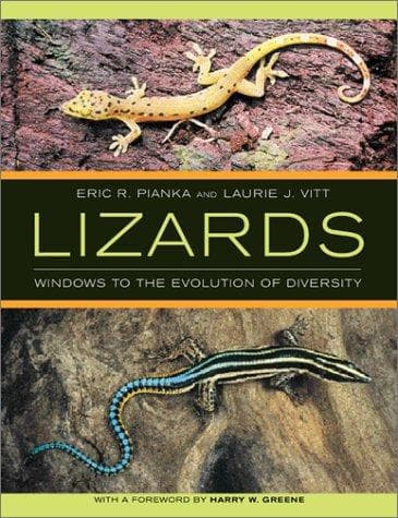 Tapa de Lizards