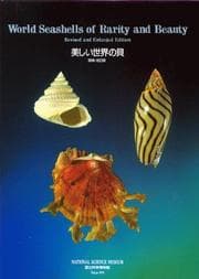 Tapa de World seashells of rarity and beauty