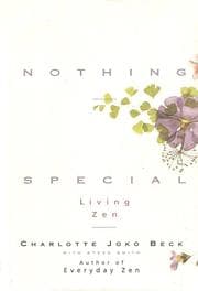 Tapa de Nothing Special