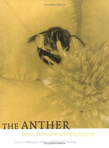 Tapa de The anther