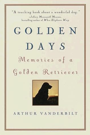 Tapa de Golden Days