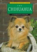 Tapa de The Chihuahua