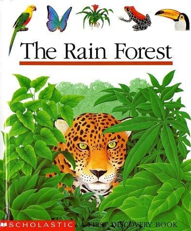 Tapa de The rain forest