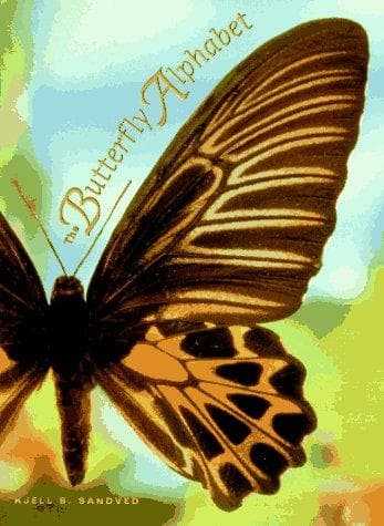 Tapa de The butterfly alphabet