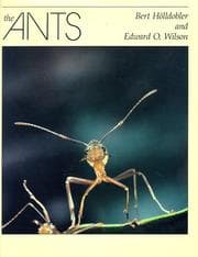 Tapa de The ants