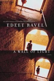 Tapa de A wall of light