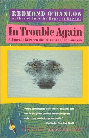 Tapa de In Trouble Again