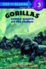 Tapa de Gorillas, gentle giants of the forest