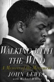 Tapa de Walking with the wind