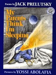 Tapa de My parents think I'm sleeping