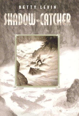 Tapa de Shadow-catcher