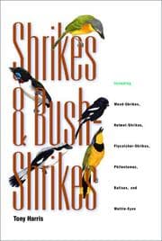 Tapa de Shrikes and bush-shrikes