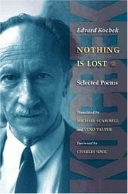 Tapa de Nothing is lost