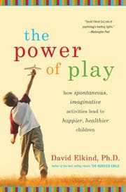 Tapa de The power of play