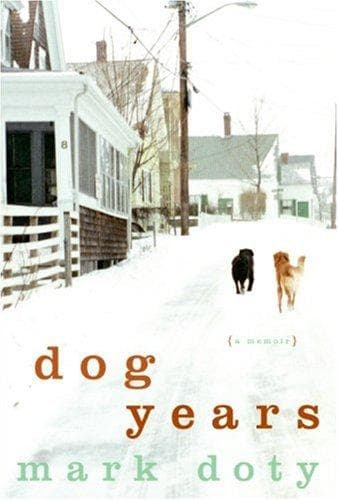 Tapa de Dog Years