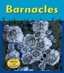 Tapa de Barnacles