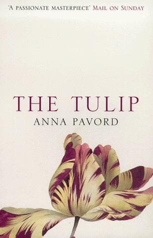 Tapa de The Tulip