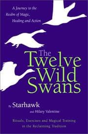 Tapa de The twelve wild swans