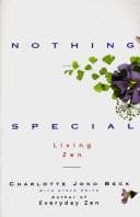 Tapa de Nothing Special
