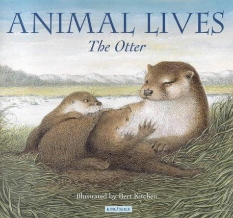 Tapa de The Otter (Animal Lives)