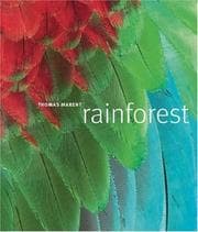 Tapa de Rainforest