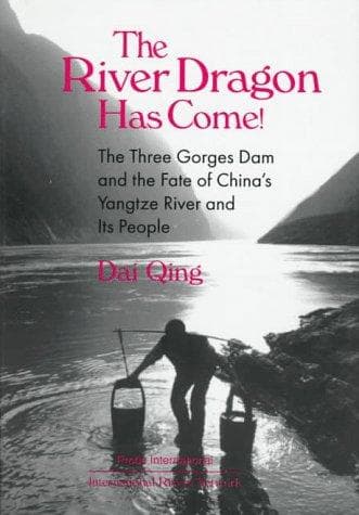 Tapa de The River Dragon Has Come!