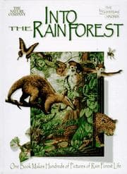 Tapa de Into the rainforest