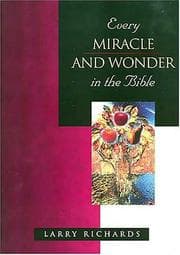 Tapa de Every Miracle and Wonder in the Bible (Everything in the Bible Series)