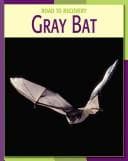 Tapa de Gray bat