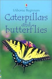 Tapa de Caterpillars and Butterflies (Beginners)