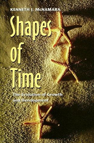 Tapa de Shapes of time