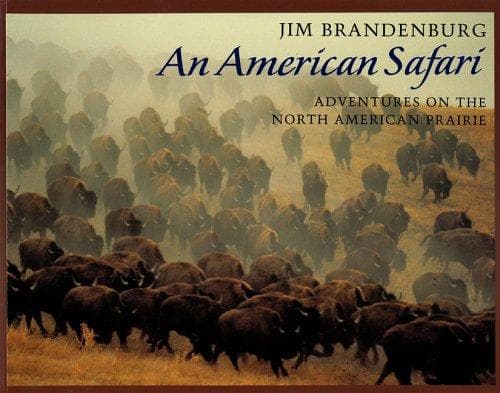 Tapa de An American Safari