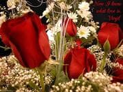 Tapa de White roses