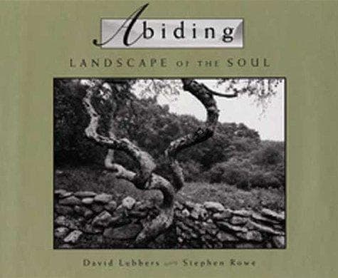 Tapa de Abiding