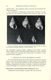 Tapa de Malacological notes