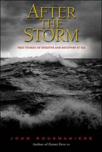 Tapa de After the Storm