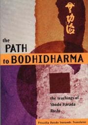 Tapa de The path to Bodhidharma