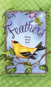 Tapa de Feathers